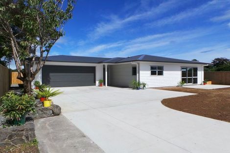 Photo of property in 11a Saxton Street, Levin, 5510
