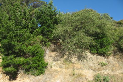 Photo of property in 213a Beach Road, Akaroa, 7520