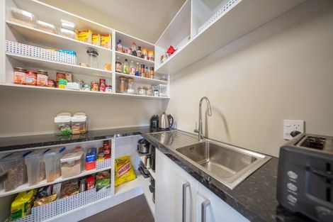 Photo of property in 253c Ramparts Road, Te Anau, 9679