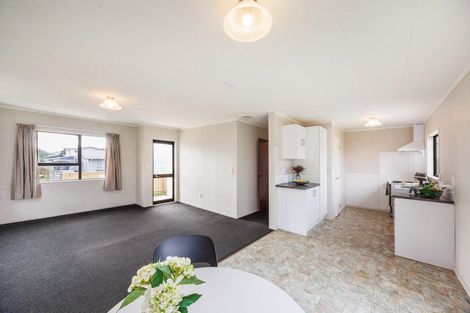 Photo of property in 20a Tingey Avenue, Feilding, 4702