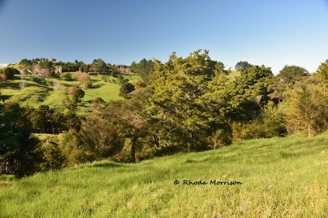 Photo of property in 330 Franklin Road, Paparoa, 0571