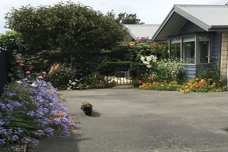 Photo of property in 7c Darroch Street, Belfast, Christchurch, 8051