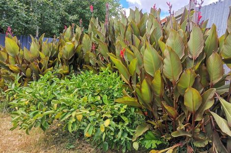 Photo of property in 62a Norrie Street, Bader, Hamilton, 3206