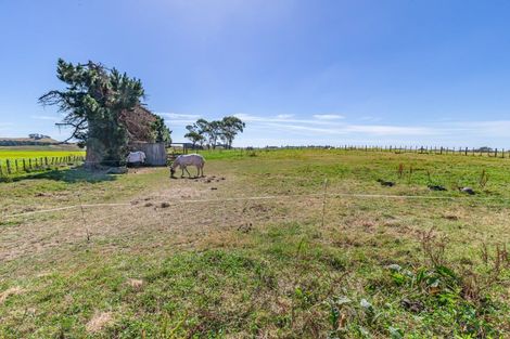 Photo of property in 389 Kawiu Road, Levin, 5510