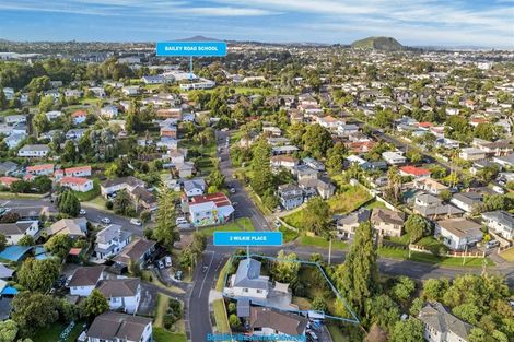 Photo of property in 2 Wilkie Place, Mount Wellington, Auckland, 1060