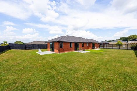 Photo of property in 3 Rawiri Street, Morrinsville, 3300