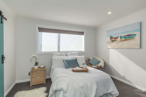 Photo of property in 87a Tiro Tiro Road, Levin, 5510