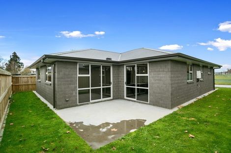 Photo of property in 3c Allenby Road, Matamata, 3400