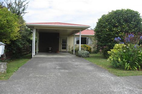 Photo of property in 38a Church Street, Feilding, 4702