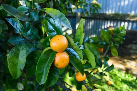 Photo of property in 47 Taumaihi Street, Bulls, 4818