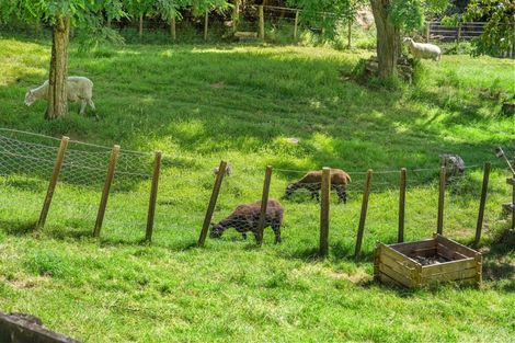 Photo of property in 1 Paratu Road, Richmond Downs, 3475