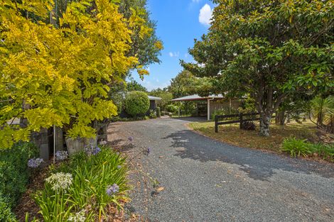 Photo of property in 109 Point Wells Road, Point Wells, Warkworth, 0986