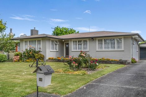 Photo of property in 22 Snowdon Avenue, Terrace End, Palmerston North, 4410
