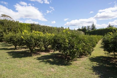 Photo of property in 88b Lockington Road, Aongatete, Katikati, 3181