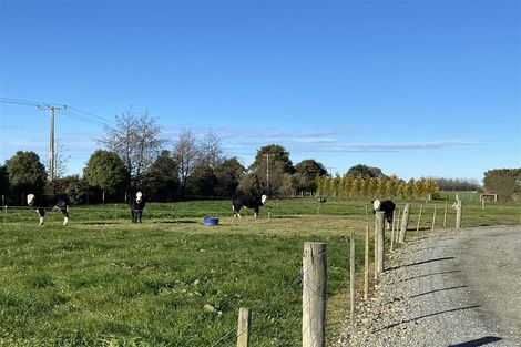 Photo of property in 251 Middleswamp Road, Milford, Temuka, 7986
