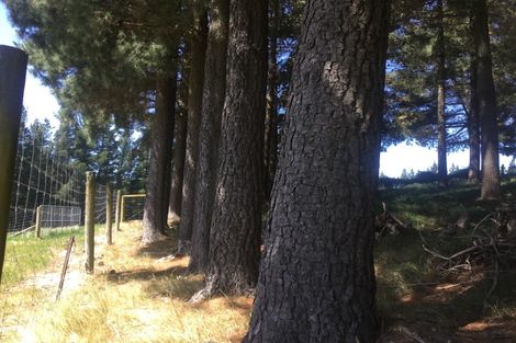 Photo of property in 8p Davaar Road, Greta Valley, 7387