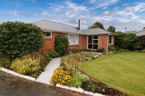 Photo of property in 33 Suffolk Street, Hampstead, Ashburton, 7700