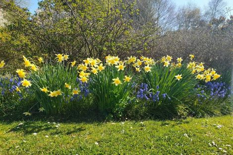 Photo of property in 86b Beach Street, Waikouaiti, 9510