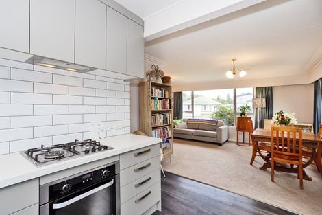 Photo of property in 223 Mary Street, Richmond, Invercargill, 9810