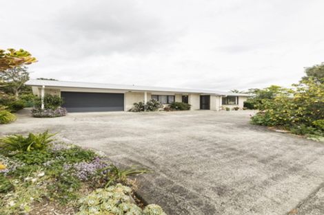 Photo of property in 103 Salisbury Street, Ashhurst, 4810