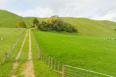 Photo of property in 447 Hinemoa Valley Road, Kaitawa, Pahiatua, 4981