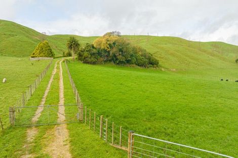 Photo of property in 447 Hinemoa Valley Road, Kaitawa, Pahiatua, 4981