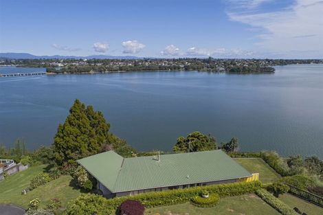 Photo of property in 43 Vine Avenue, Maungatapu, Tauranga, 3112