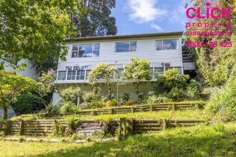 Photo of property in 524 South Road, Calton Hill, Dunedin, 9012