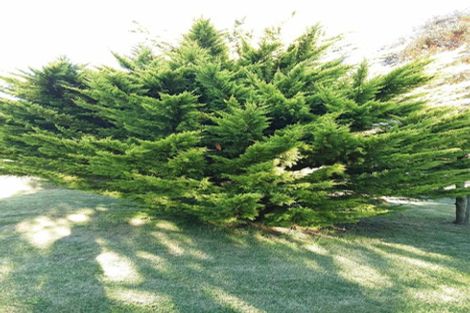 Photo of property in 897 Sandy Knolls Road, West Melton, Christchurch, 7675