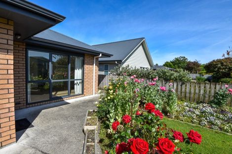 Photo of property in 24 Rexwood Street, Carterton, 5713