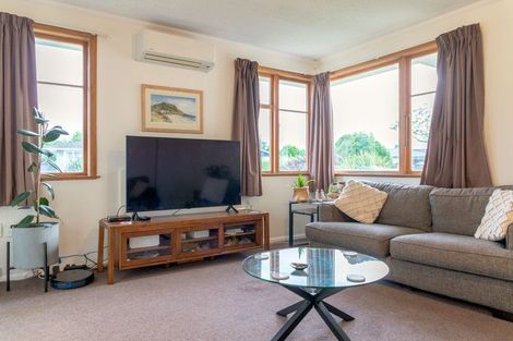 Photo of property in 141 Limbrick Street, Terrace End, Palmerston North, 4410