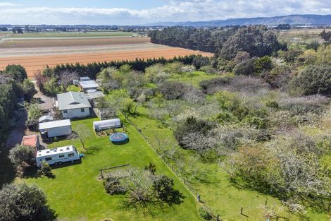 Photo of property in 35 Whelans Road, Levin, 5571