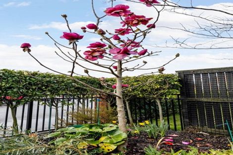 Photo of property in 6/30 Jarrett Terrace, Leamington, Cambridge, 3432