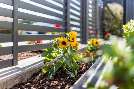 Photo of property in 9 Karearea Avenue, Kenepuru, Porirua, 5022