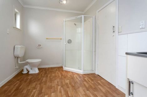 Photo of property in 21 Vogel Street, Cambridge, 3434