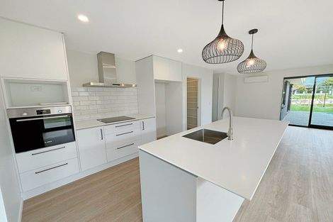 Photo of property in 7 Kildare Street, Belfast, Christchurch, 8051