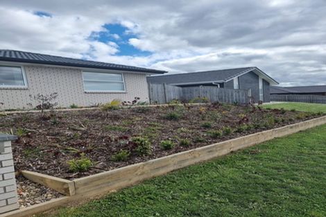 Photo of property in 15 Bellenden Crescent, Pokeno, 2402