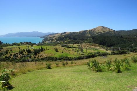 Photo of property in 1594 Colville Road, Amodeo Bay, Coromandel, 3584
