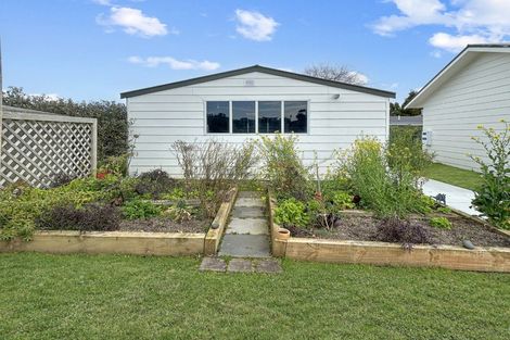Photo of property in 11 Sunshine Rise, Raglan, 3225