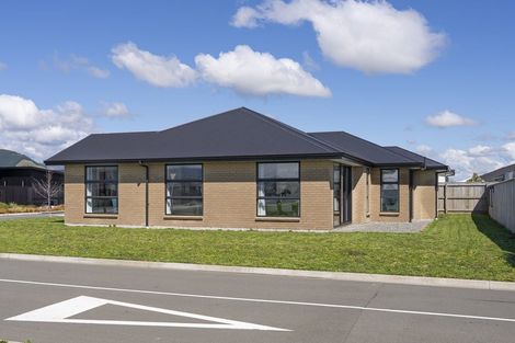 Photo of property in 50 Ascot Street, Appleby, Richmond, 7020