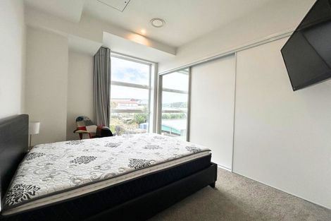 Photo of property in 301/246 Khyber Pass Road, Grafton, Auckland, 1023