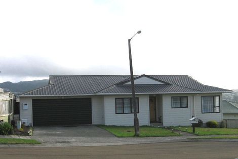 Photo of property in 25 Pelorous Street, Paparangi, Wellington, 6037