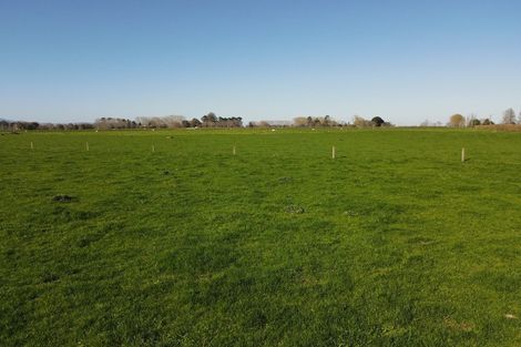 Photo of property in 91 Goodwin Road, Ohaupo, Cambridge, 3495