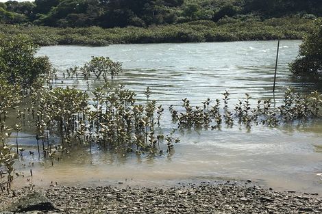 Photo of property in 17 Clarks Lane, Hobsonville, Auckland, 0618