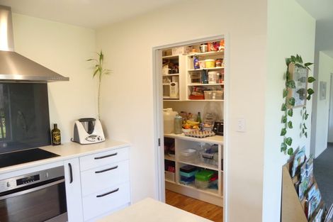 Photo of property in 44a Birdwood Avenue, Beckenham, Christchurch, 8023