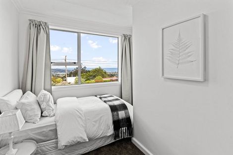 Photo of property in 6 Mcdonald Street, Brockville, Dunedin, 9011