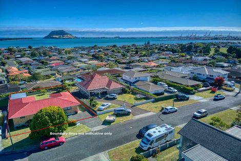 Photo of property in 21 Tirinui Crest Road, Otumoetai, Tauranga, 3110