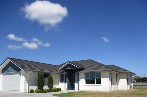 Photo of property in 17 Tiaki Way, Cambridge, 3434