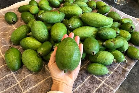 Photo of property in 8 Ocean View Terrace, Sumner, Christchurch, 8081