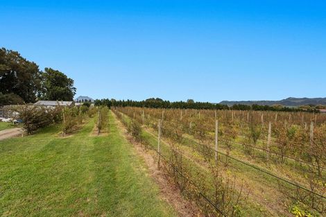 Photo of property in 17 Mccutchan Road, Otakiri, Whakatane, 3193